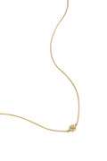 Minimalist necklace with a clover